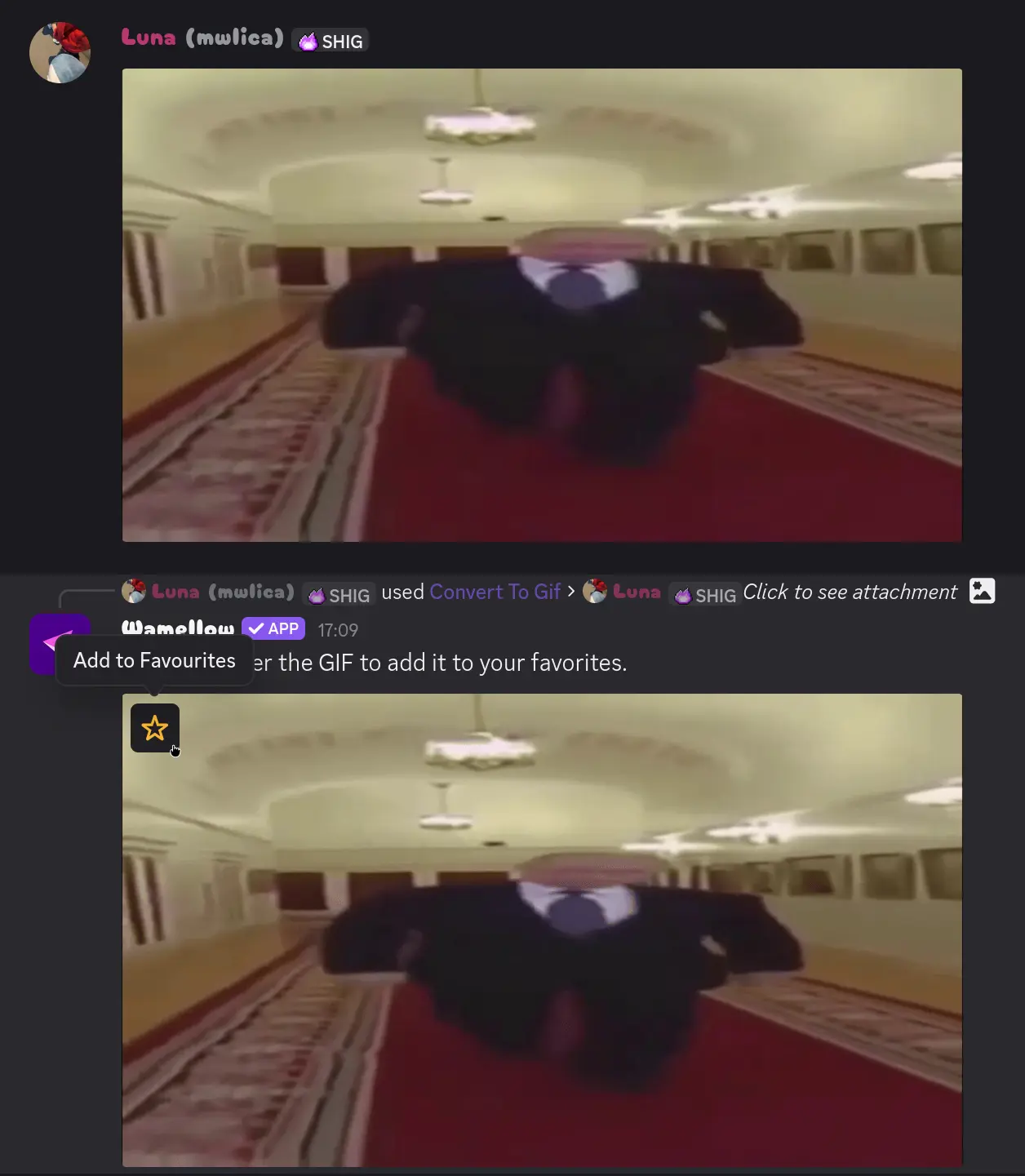 Convert To Gif: Wide Putin